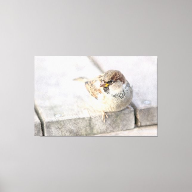 Sparrow - Nach dem transatlantischen Leinwanddruck (Vorderseite)