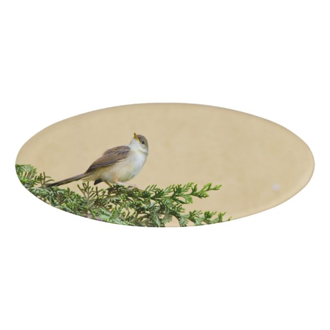 Sparrow Namenschild (Vorderseite)