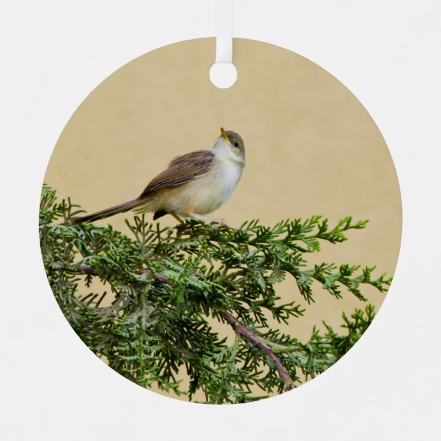 Sparrow Ornament Aus Metall (Vorderseite)