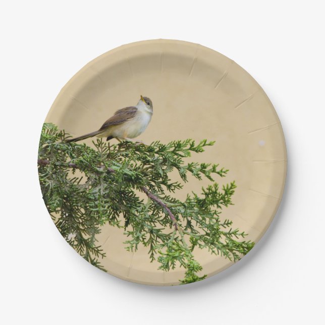 Sparrow Pappteller (Vorderseite)