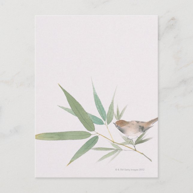 Sparrow Postkarte (Vorderseite)
