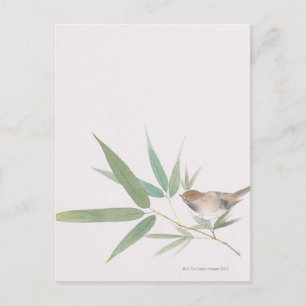 Sparrow Postkarte