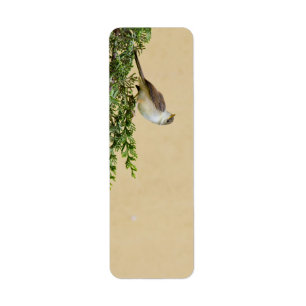 Sparrow-Postkarte
