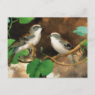 Sparrow Postkarte