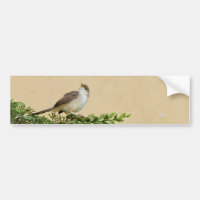 Sparrow-Postkarte