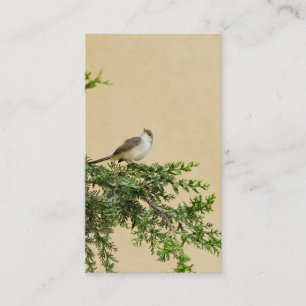 Sparrow-Postkarte Platzkarte
