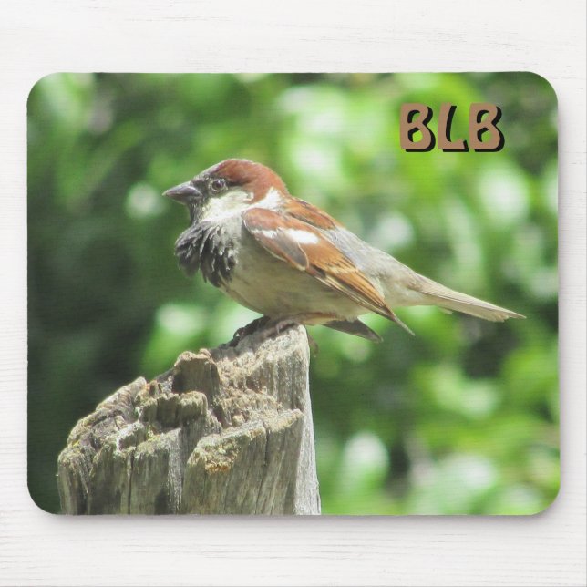 Sparrow-Profil auf Stumpf mit Ihren Initialen Mousepad (Vorne)