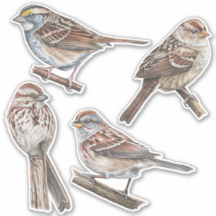 Sparrow Stickers Value Pack Aufkleber