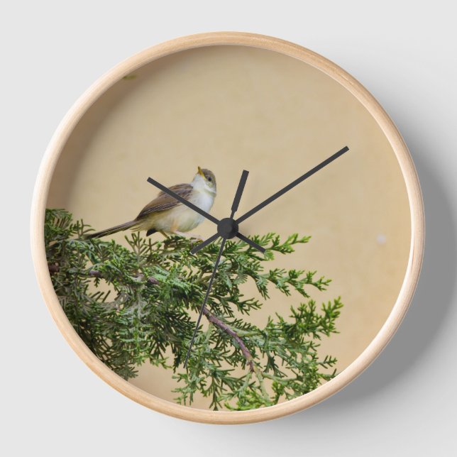 Sparrow Uhr (Vorderseite)