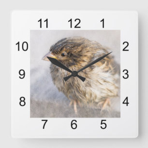 Sparrow - Weather Forecast Epic Fail Quadratische Wanduhr