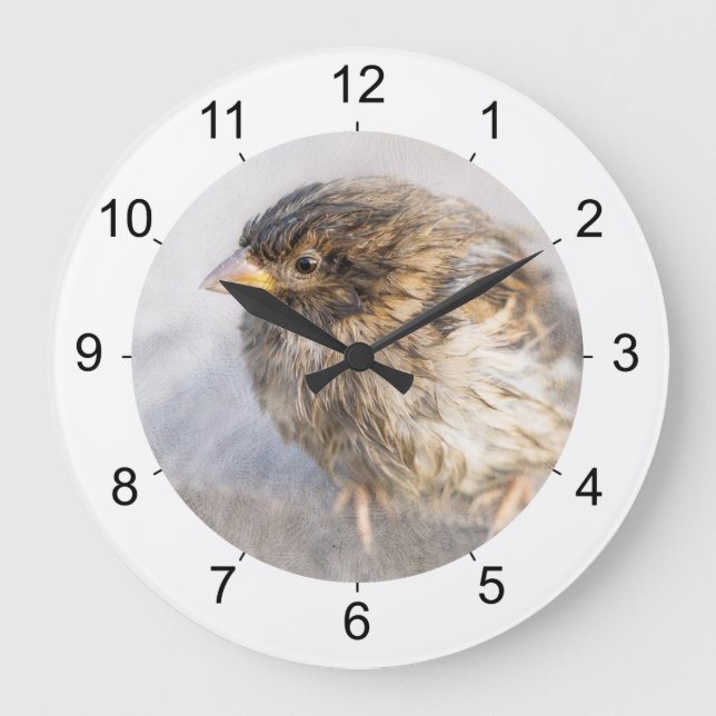 Sparrow - Wettervorhersage Epic Versag Große Wanduhr (Vorderseite)