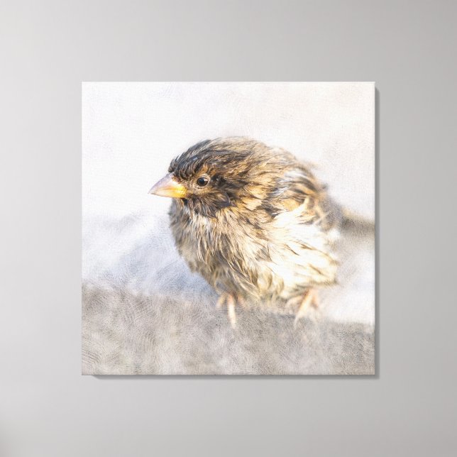 Sparrow - Wettervorhersage Epic Versag Leinwanddruck (Vorderseite)