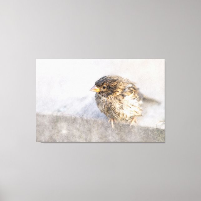 Sparrow - Wettervorhersage Epic Versag Leinwanddruck (Vorderseite)