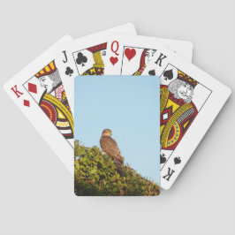 Sparrowhawa Spielkarten