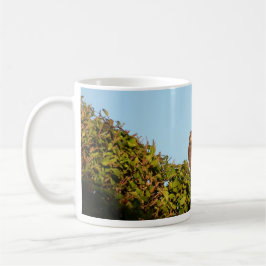 Sparrowhawk Kaffeetasse