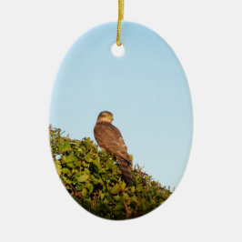 Sparrowhawk Keramik Ornament