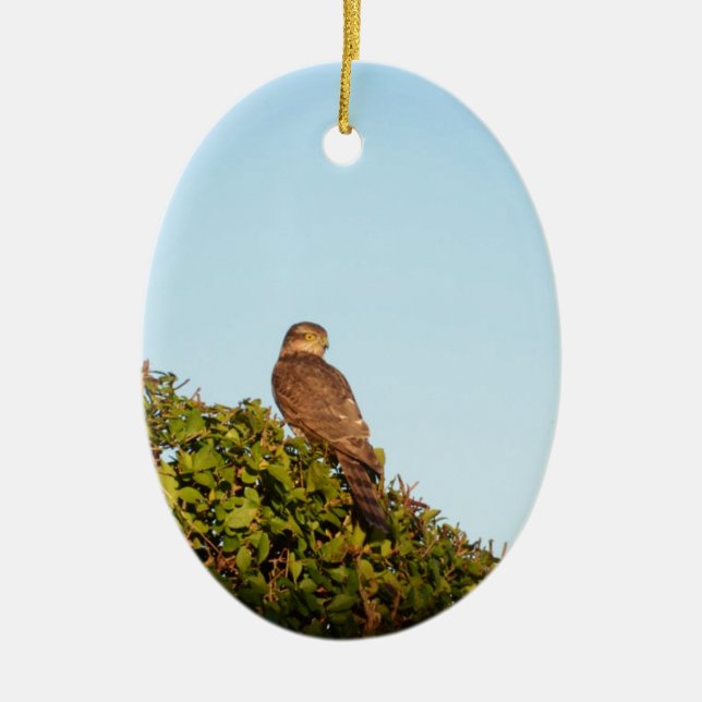 Sparrowhawk Keramik Ornament (Vorne)