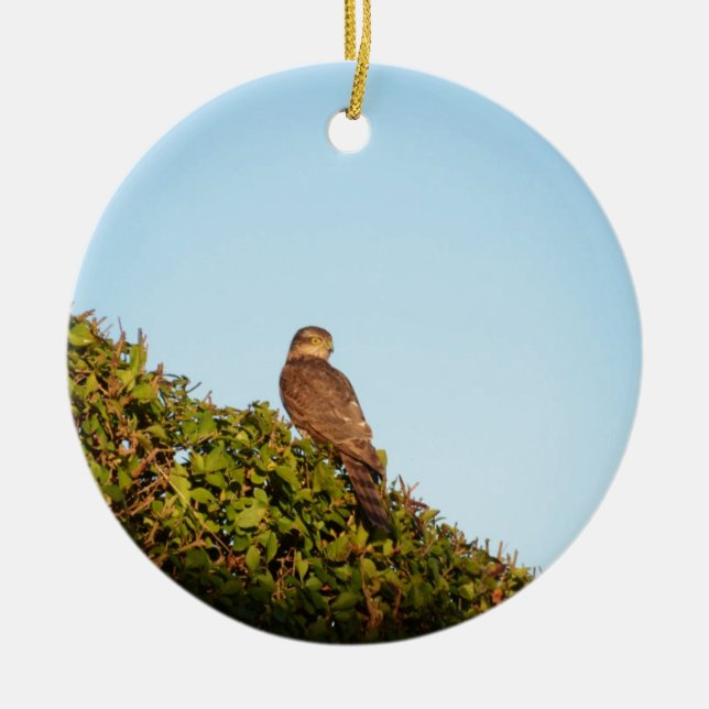 Sparrowhawk Keramik Ornament (Vorne)