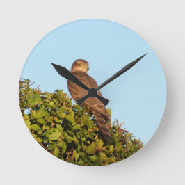 Sparrowhawk Runde Wanduhr
