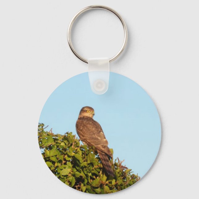 Sparrowhawk Schlüsselanhänger (Vorderseite)