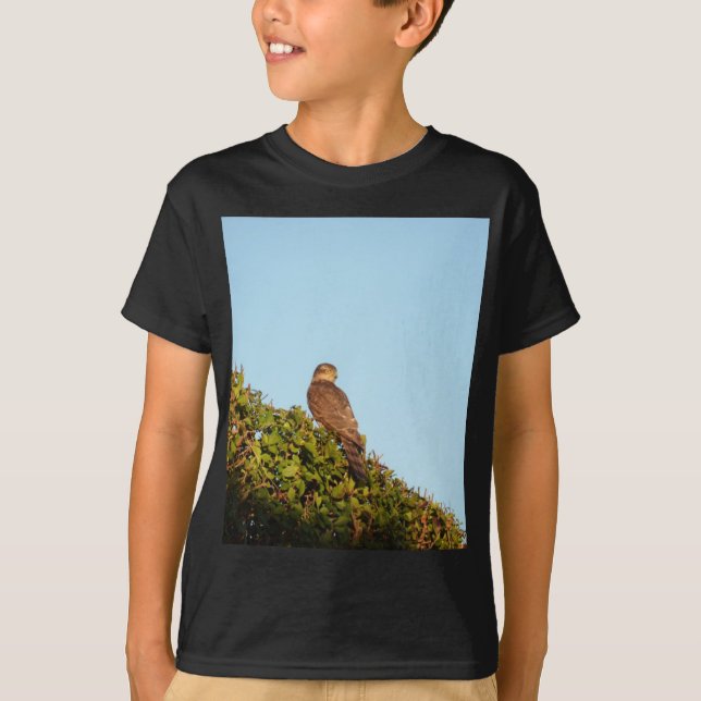 Sparrowhawk T-Shirt (Vorderseite)