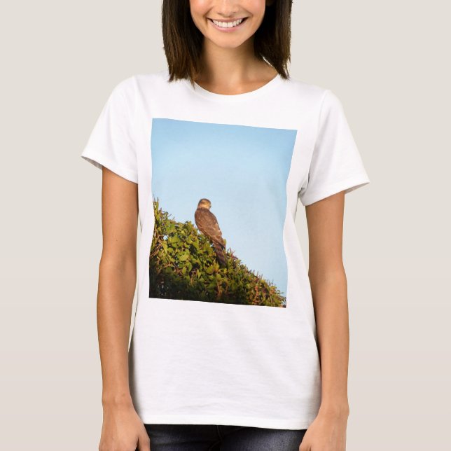 Sparrowhawk T-Shirt (Vorderseite)