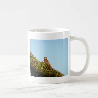 Sparrowhawk Tasse