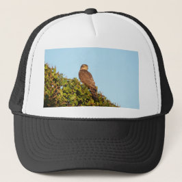 Sparrowhawk Truckerkappe