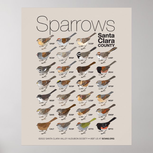 Sparrows of Santa Clara Landkreis Poster (Vorne)
