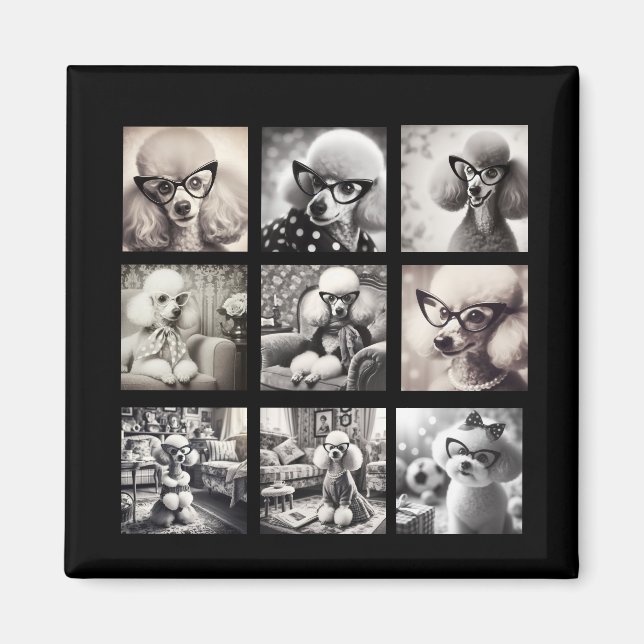 Spaß 9 Foto-Collage-Bilder Magnet (Vorne)