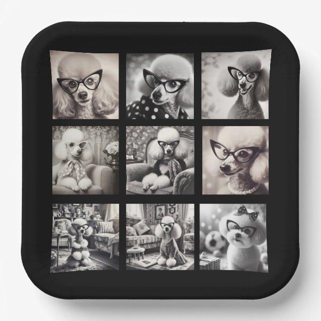 Spaß 9 Foto-Collage-Bilder Pappteller (Vorderseite)