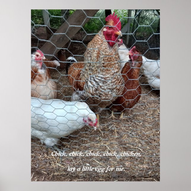 Spaß beim Küken Poster (Vorne)