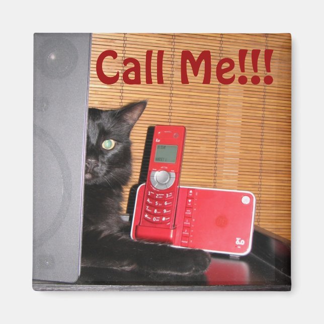 Spaß Cat Magnet! Magnet (Vorne)