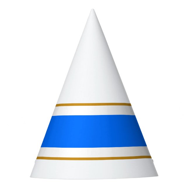 Spaß Coole, hellblaue, braune Rennstreifen Partyhütchen (Vorderseite)