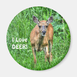 Spaß Design für das Kind in uns allen! Magnet