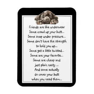 Spaß-Freund sind wie Unterwäsche-Zitat mit Hund Magnet