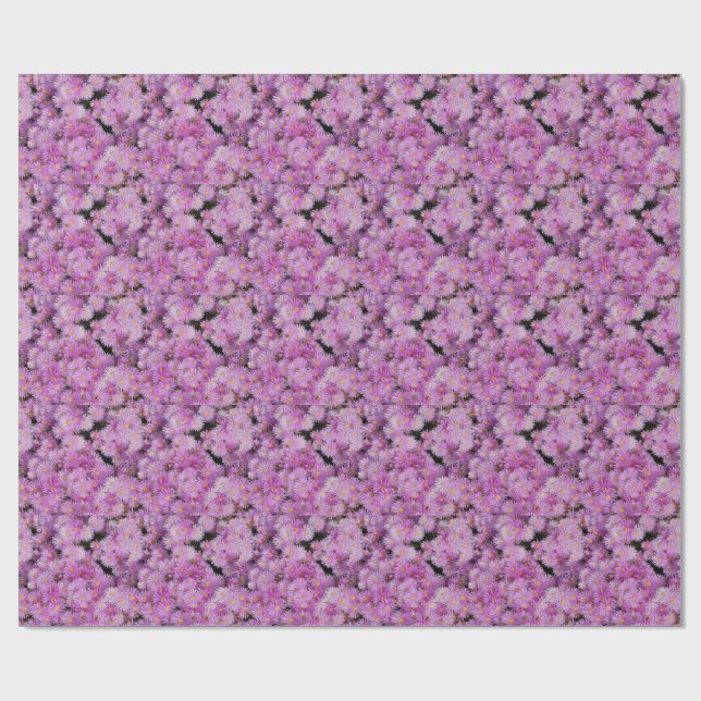 SPASS GESCHENKPAPIER (Flach)