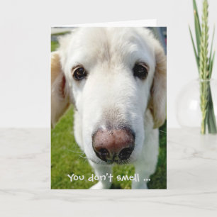 Spaß-Hund-Nase zum Geburtstag Karte