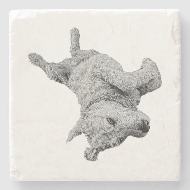 Spaß in der Erholung Steinuntersetzer (Vorderseite)