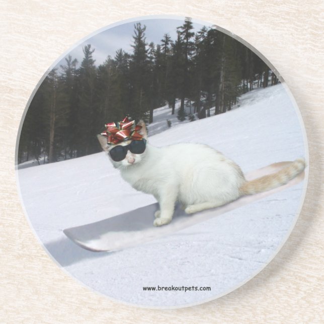 Spaß-Katze auf ein Snowboard-Untersetzer Sandstein Untersetzer (Vorne)