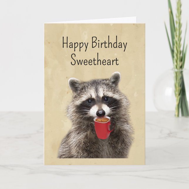 Spaß Liebe Sie Geburtstag Sweetheart Fun Raccoon Karte (Vorderseite)
