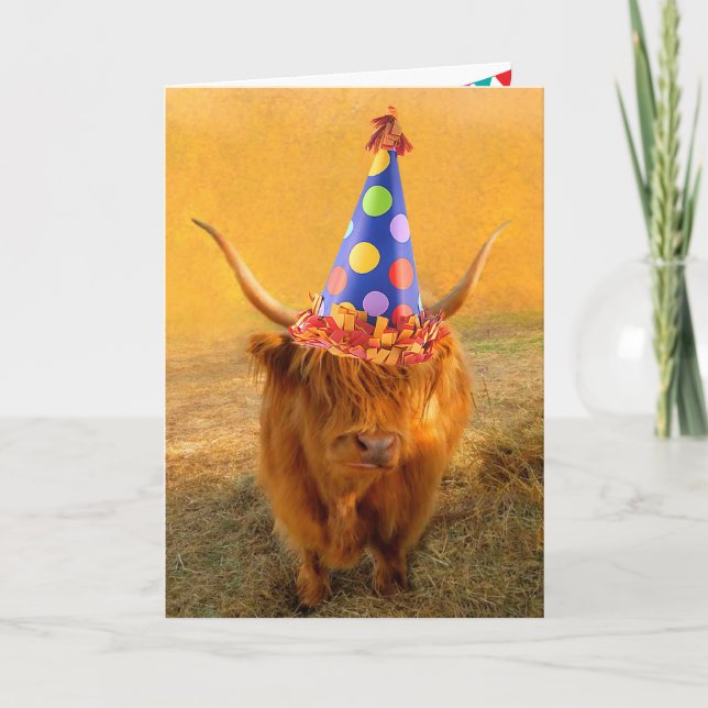 Spaß liebt schottisches Highland Steer Birthday Karte (Vorderseite)