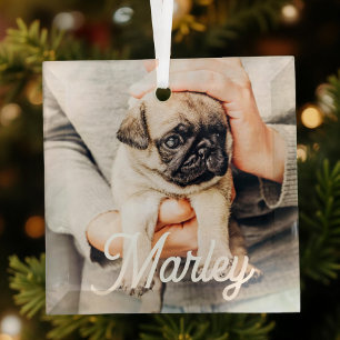 Spaß Modernes, benutzerdefiniertes Foto für Hausti Ornament Aus Glas