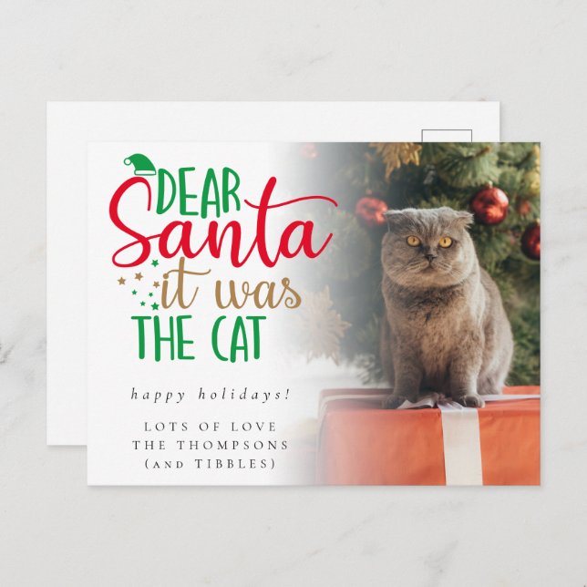 Spaß Santa war die Cat Foto Weihnachtskarte Postkarte (Vorne/Hinten)