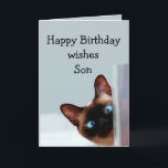 Spaß-Sohn-Geburtstag wünscht siamesische Katze Karte<br><div class="desc">Lustiger Sohn-Geburtstag wünscht siamesischer Katze TierSpaß Sie oben.   Vervollkommnen Sie für diesen Sohn in Ihrem Leben mit einer Richtung des Spaßes,  einer Liebe der Katzen und einem Geburtstag</div>