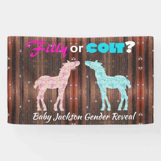 Spass Stutenfohlen Oder Colt Geschlecht Decken Banner Zazzle At