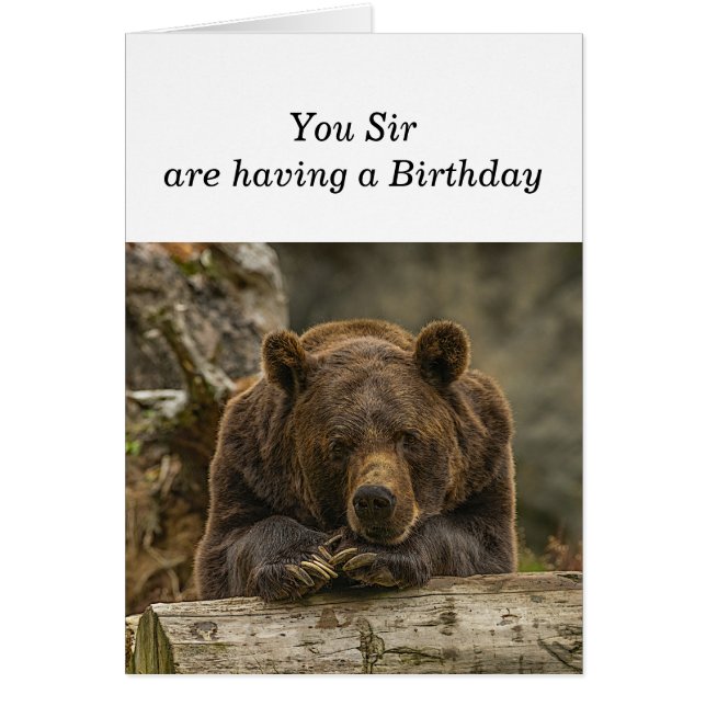 Spaß über dem Hügel ernstlich aussehender Grizzly  (Vorne)