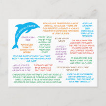 Spaß über Tiere Niedlich und farbenfroh