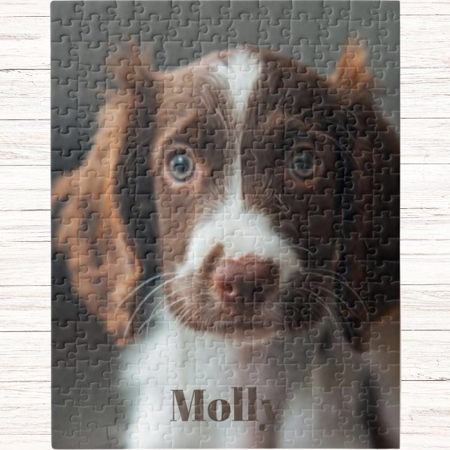 Spaß und spannende Aktivität für Hundeliebhaber Puzzle (Von Creator hochgeladen)