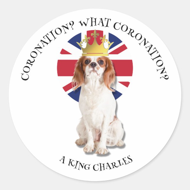Spaß WAS CORONATION König Charles Spaniel Runder Aufkleber (Vorderseite)